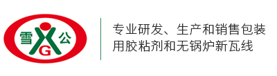 安徽雪公新材料集团有限责任公司